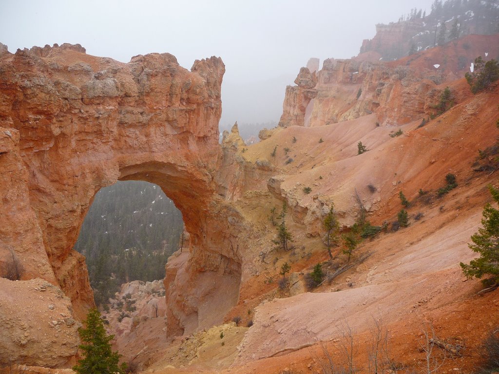 Bryce Canyon - Snowfall in May by upsti