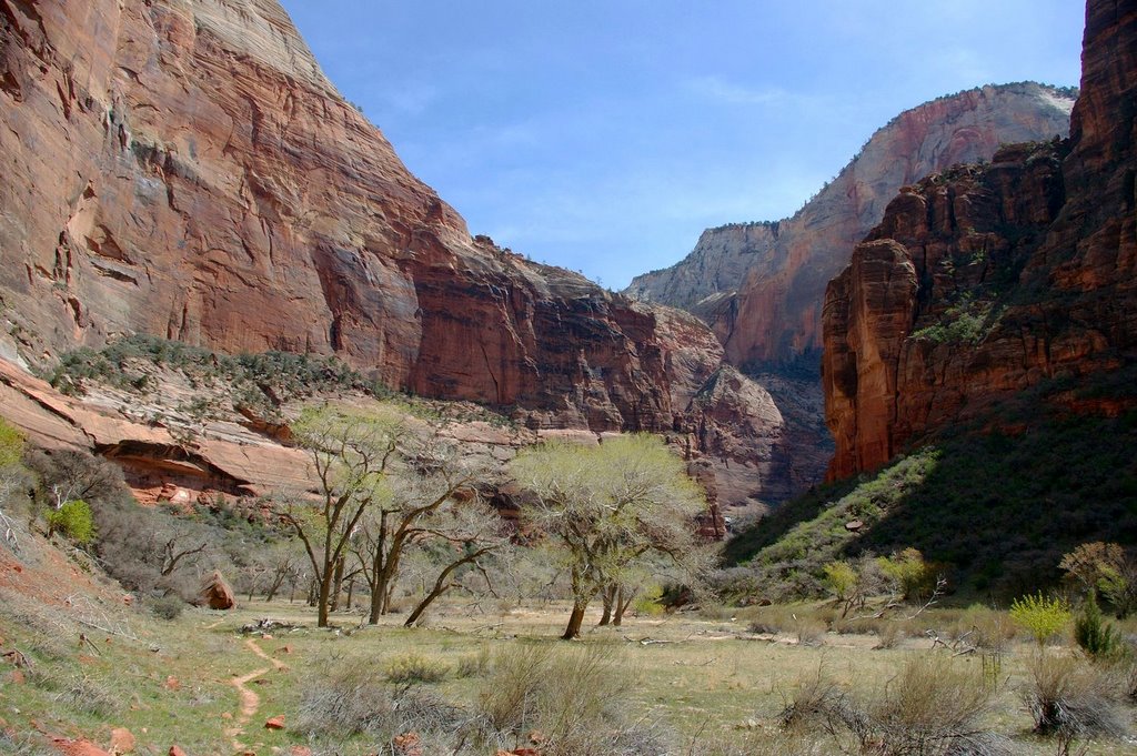 In Zion park; Apr 2008 by Pete Perunov