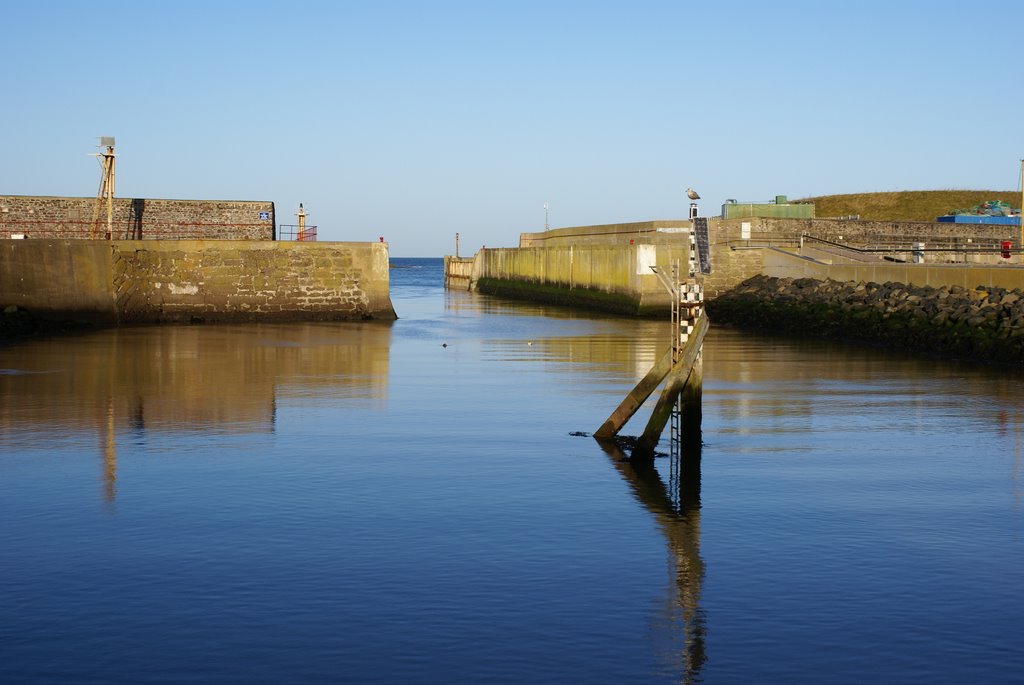 A still winter's day at Eyemouth Harbour by Ewanneil