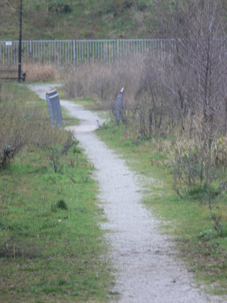 15)	Hoeveel staaldraden zijn er in deze brug gespannen? by boevenbrink