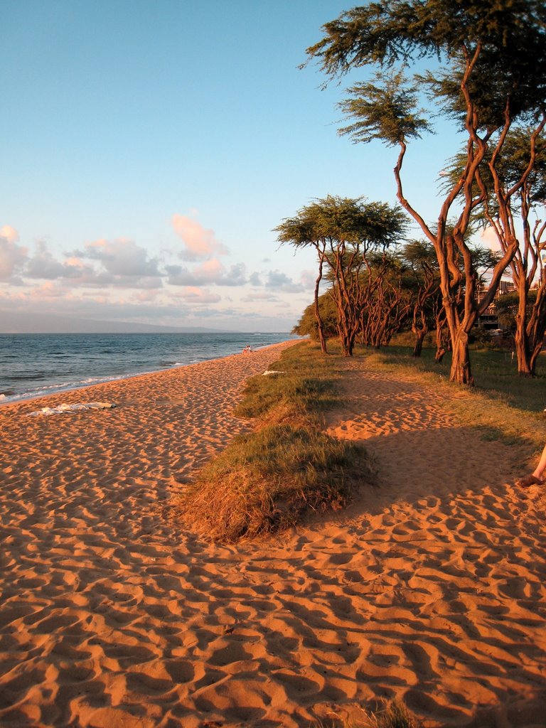 Ka'anapali Beach by Donna j. Gehl