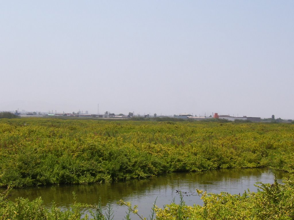 Pantanos de Chimbote, cerca de la zona Industrial. by Murgueytio, C