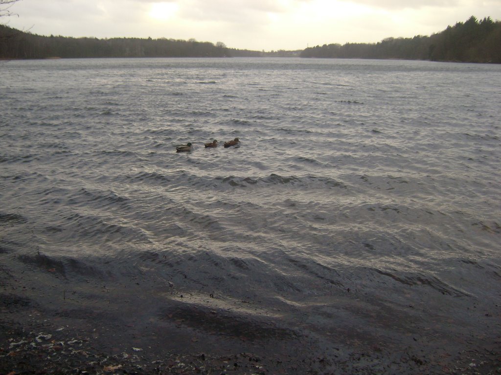 Am Großensee by CrazyBunny