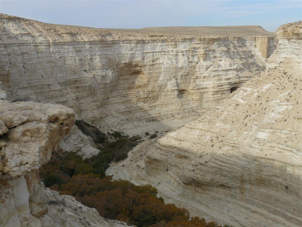 Ein Ovdat Canyon, Israel by Moshe Shaharur