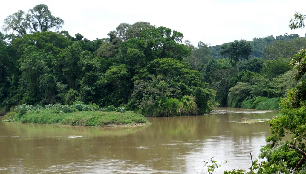 Rio Piracicaba - Santa Bárbara d´Oeste, SP, Brasil. by André Bonacin