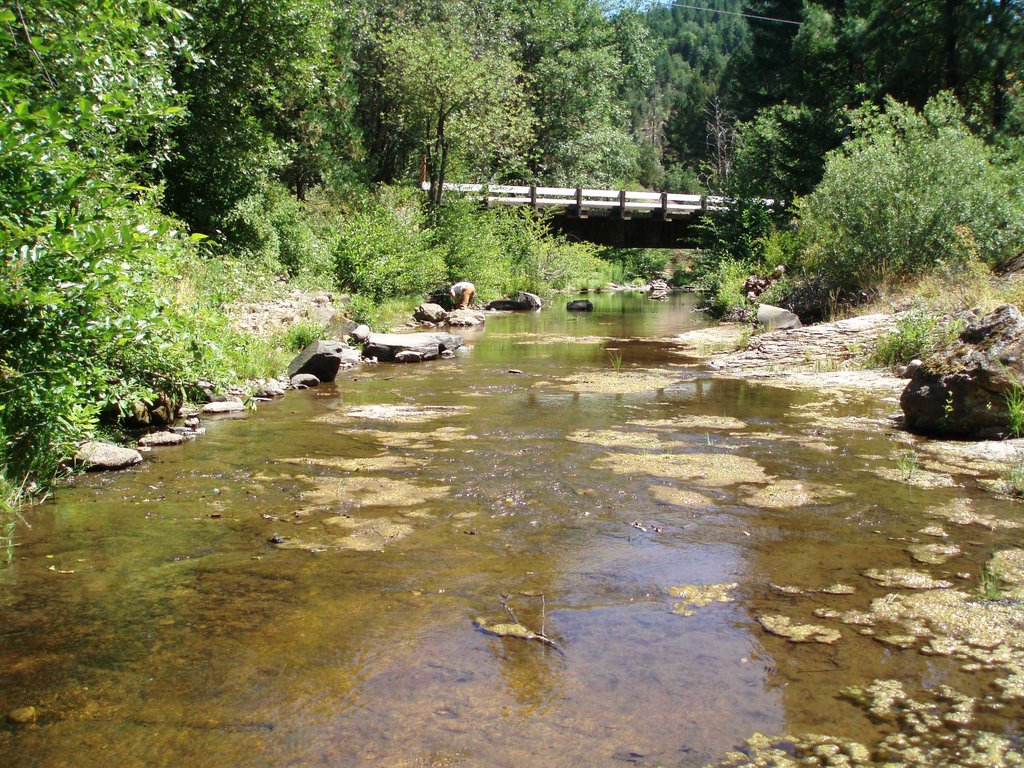 Bridge on West Fork Trail Creek by kayak_guru