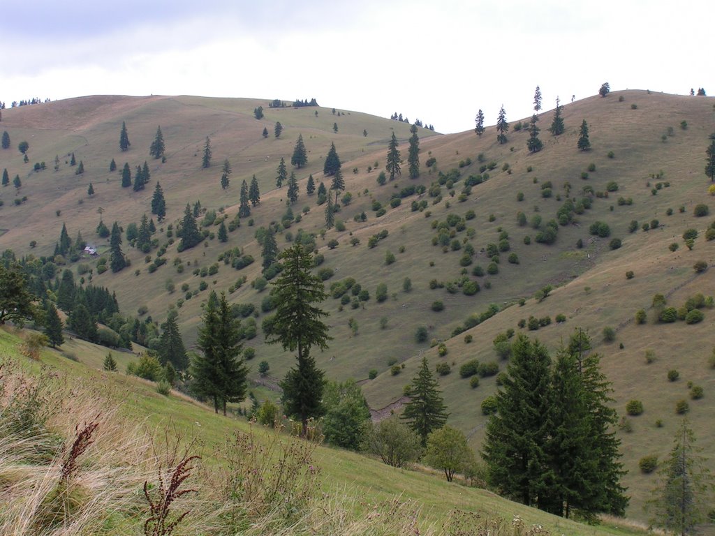 Gyimes hágójáról nézve / From Gyimes pass looked at by norbertklúcsik