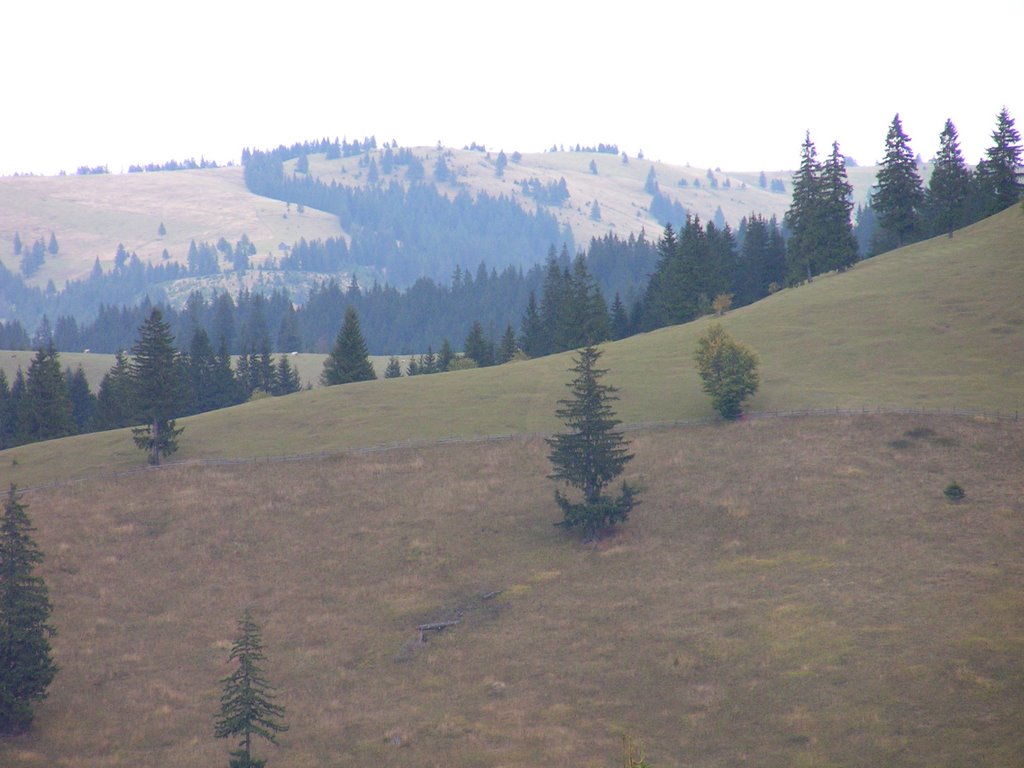 Gyimes hágójáról nézve a távoli hegyeket / From Gyimes pass looking at the distant mountains by norbertklúcsik