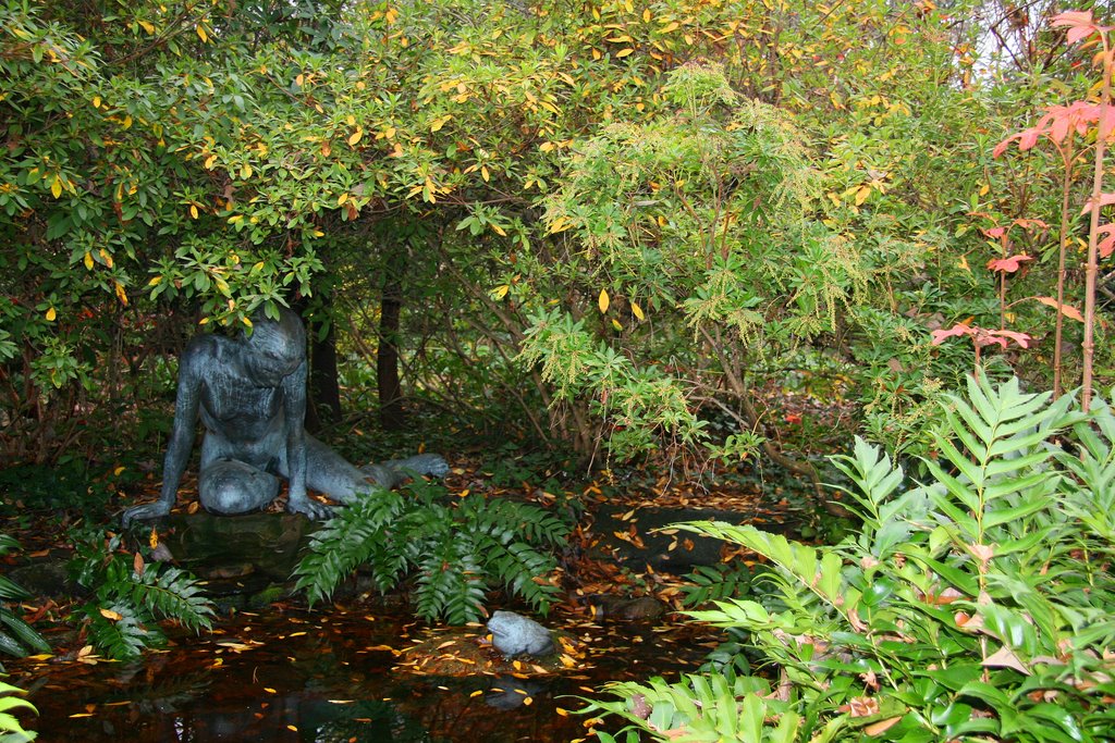 Birmingham Botanical Gardens Pond by casky58