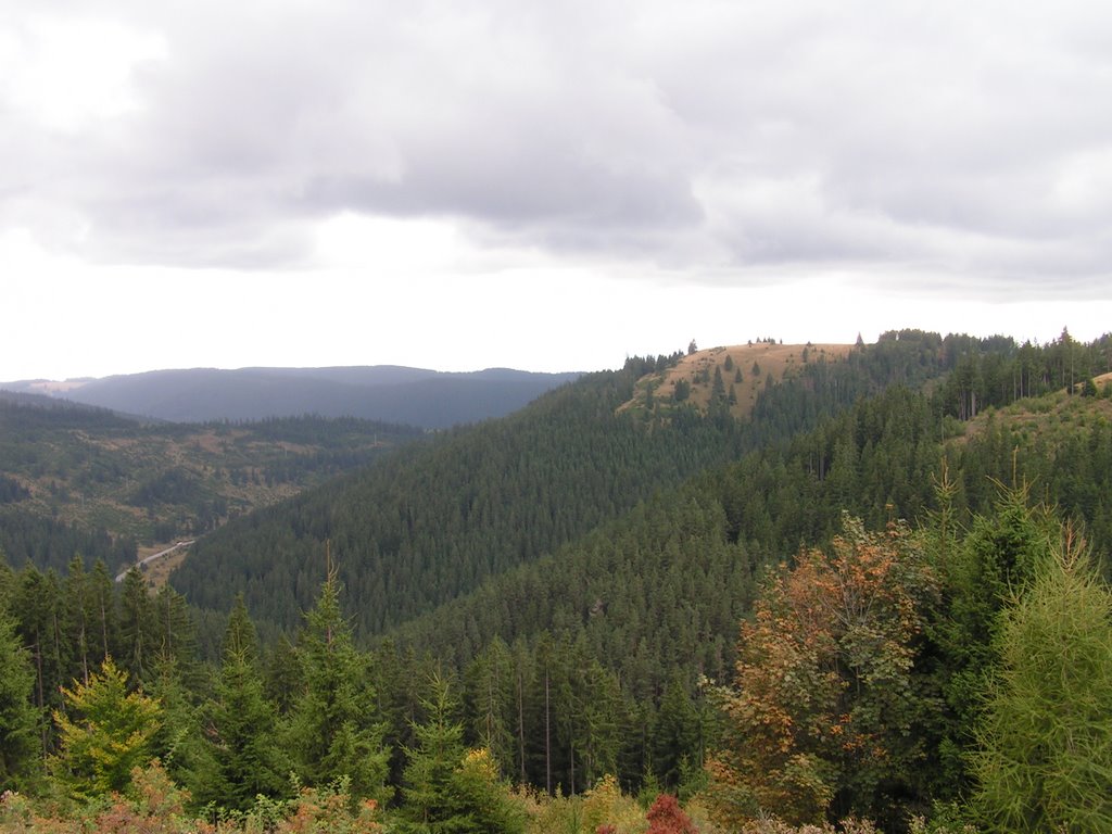 Gyimes hágójáról visszatekintve nyugati irányba / From Gyimes pass looking back into a western direction by norbertklúcsik