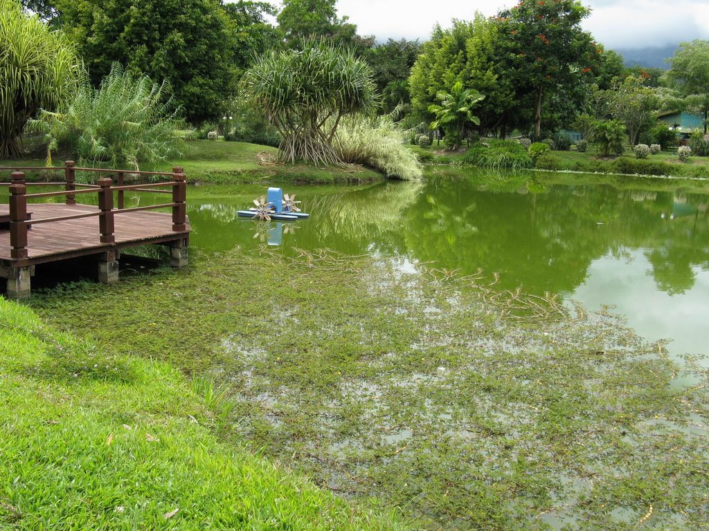 Lagud Sebrang, Tenom by fais