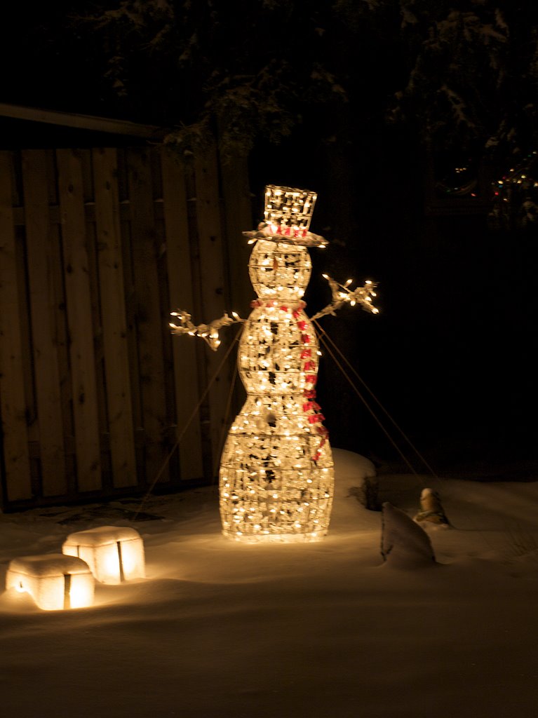 Christmas Lights in Edmonton by ddetective