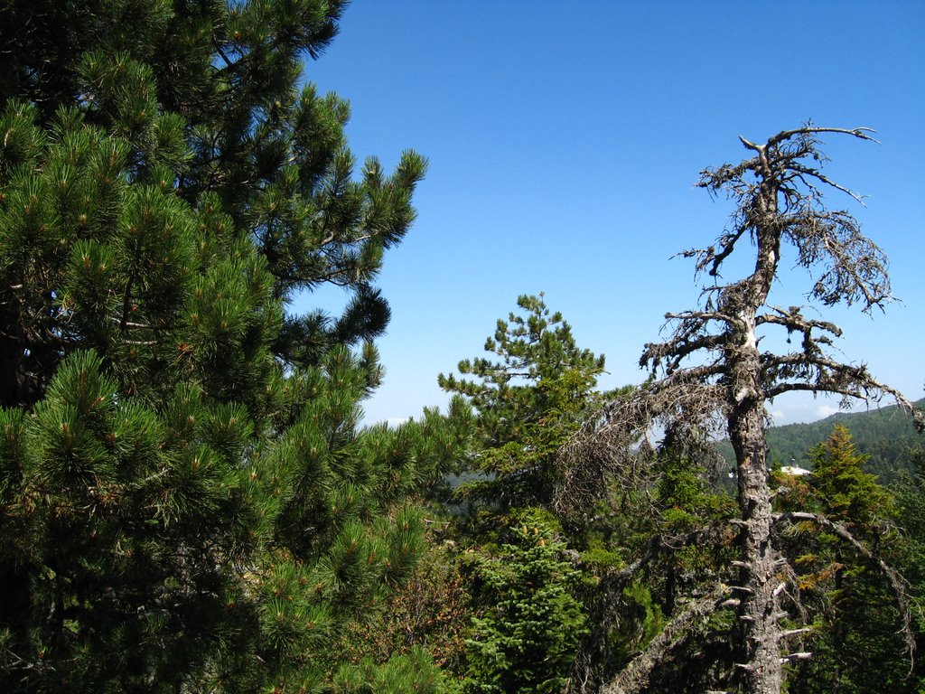 Bursa Uludağ Tepe 1 by nmd