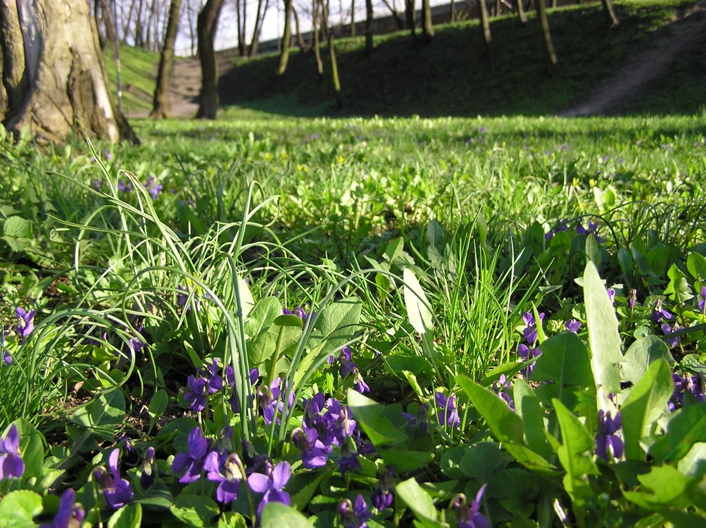 Park Kaskada in spring by Kuba Radzimowsk