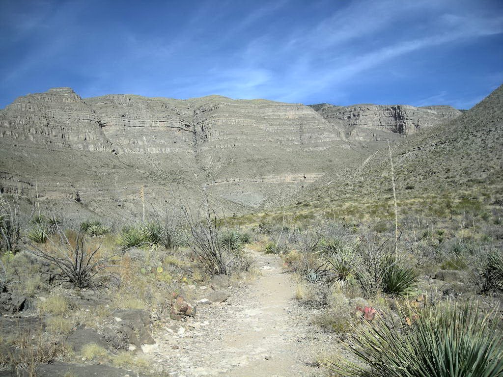 Dog Canyon trail by eliot_garvin