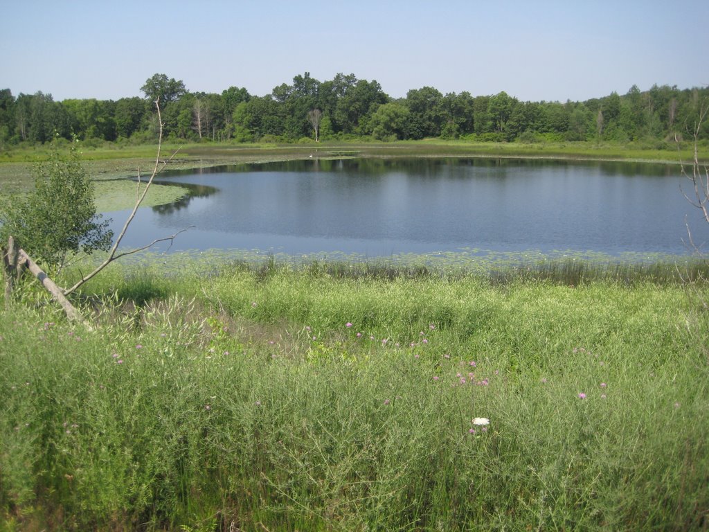 Looking west across the small lake by bluestem