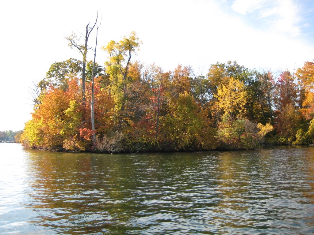 Dawson's island, east shore by bluestem