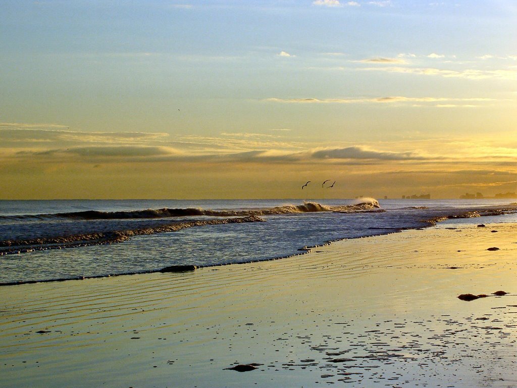 North Myrtle Beach in the Afternoon by AM Correas