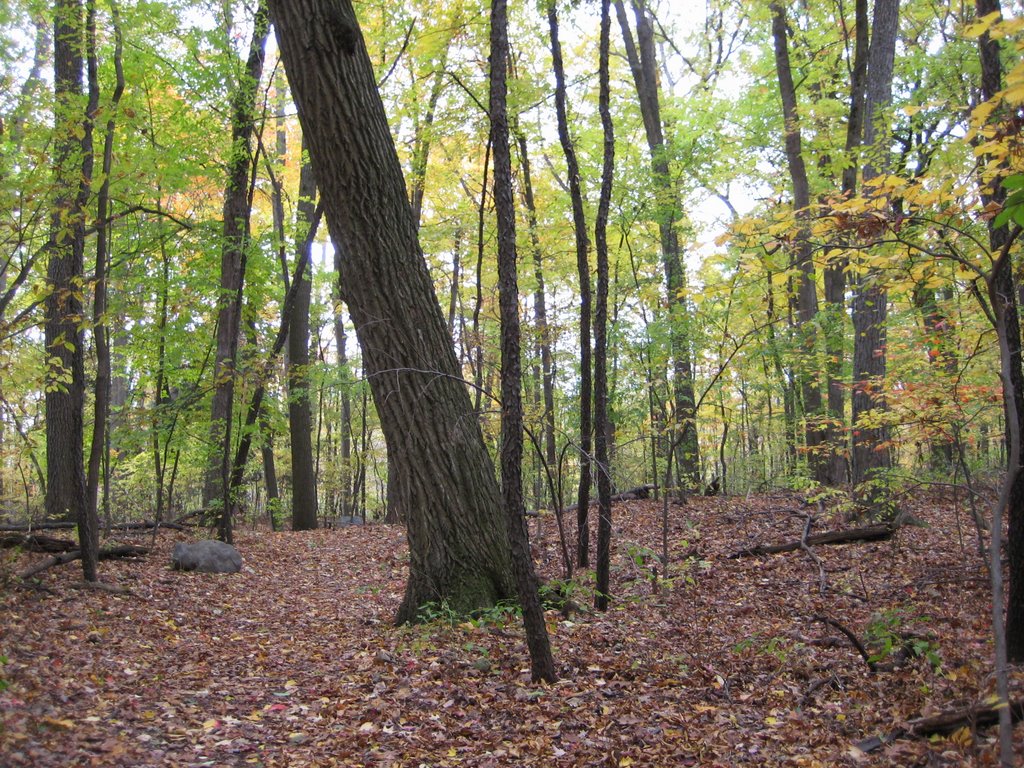 Orchard lake nature sanctuary by bluestem