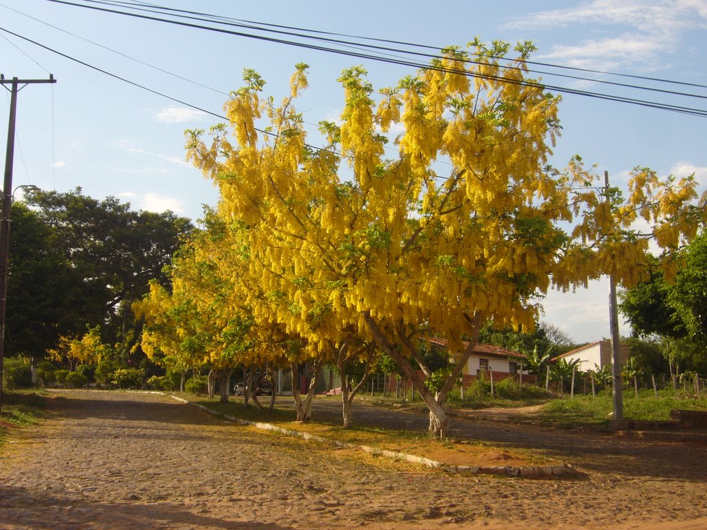 Acceso a Conavi 2 - Loma Guazu by Javier Martinez Cano