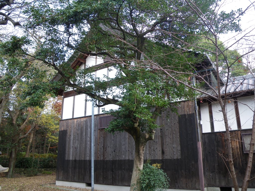 Kukuchi Susanoo Jinja Shrine　久々知 須佐男神社 御神殿 by murakami.cc