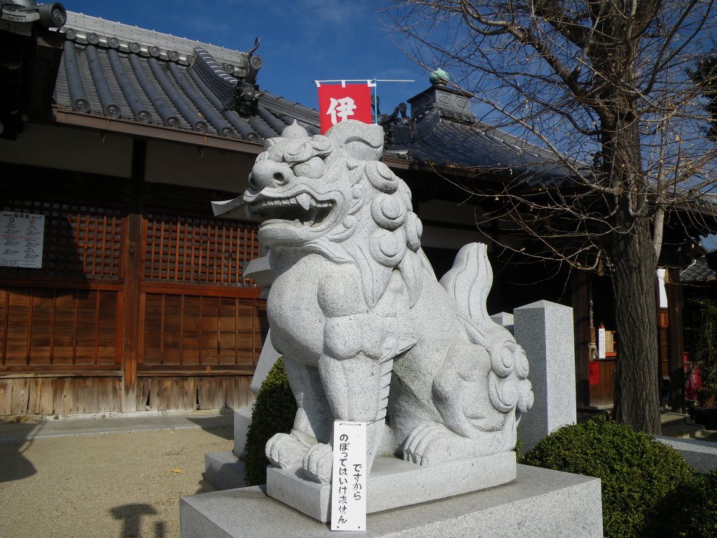 Isagu Jinja Shrine　伊佐具神社 狛犬 阿形 by murakami.cc