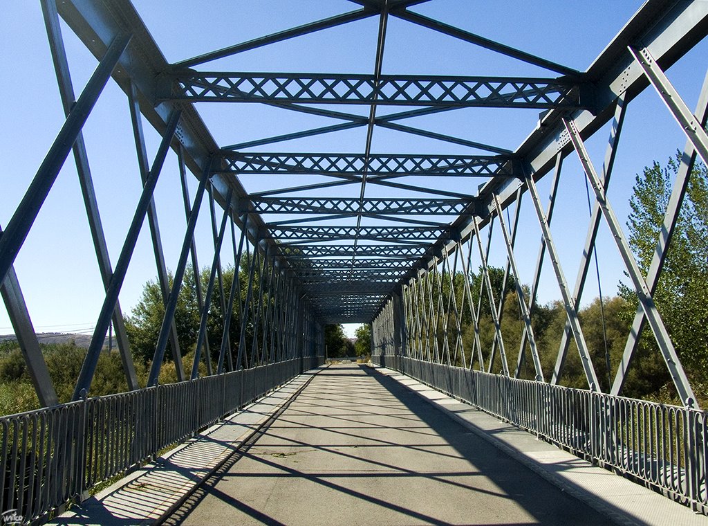 Puente de Hierro, sobre el río Jarama (Titulcia) by Milco 81