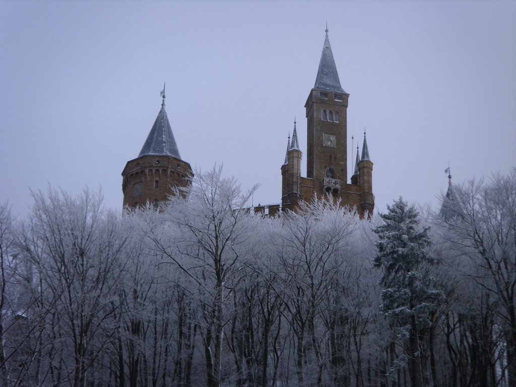 Burg Hohenzollern by Selcuk Yürekli