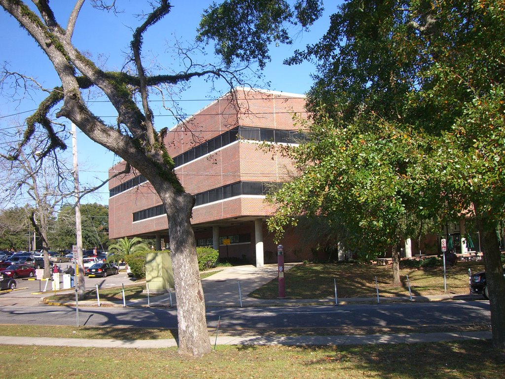 Tallahassee Buildings by Roberto Lam