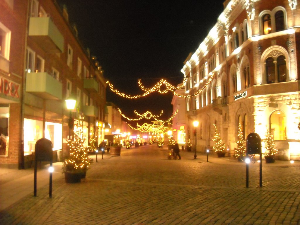 Street in Ystad by Horatiu George Palta…