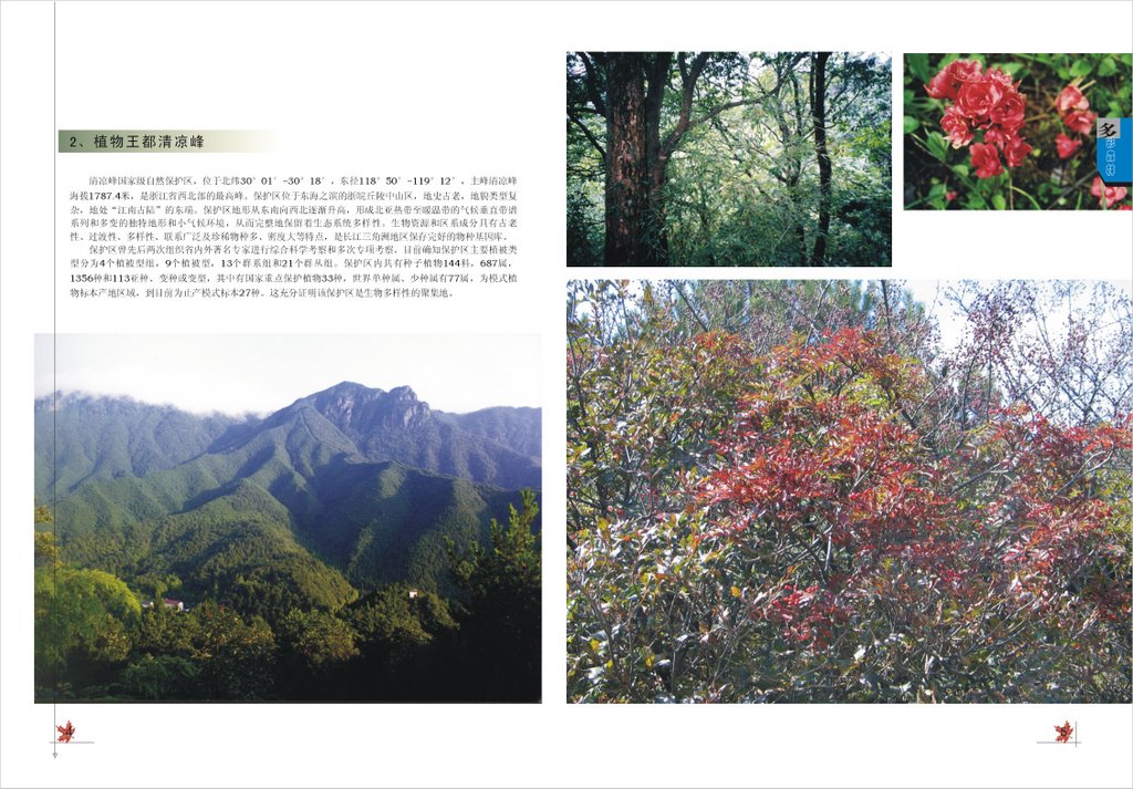 植物王都清凉峰-Zhejiang Qingliangfeng National Nature Reserve by laqlf