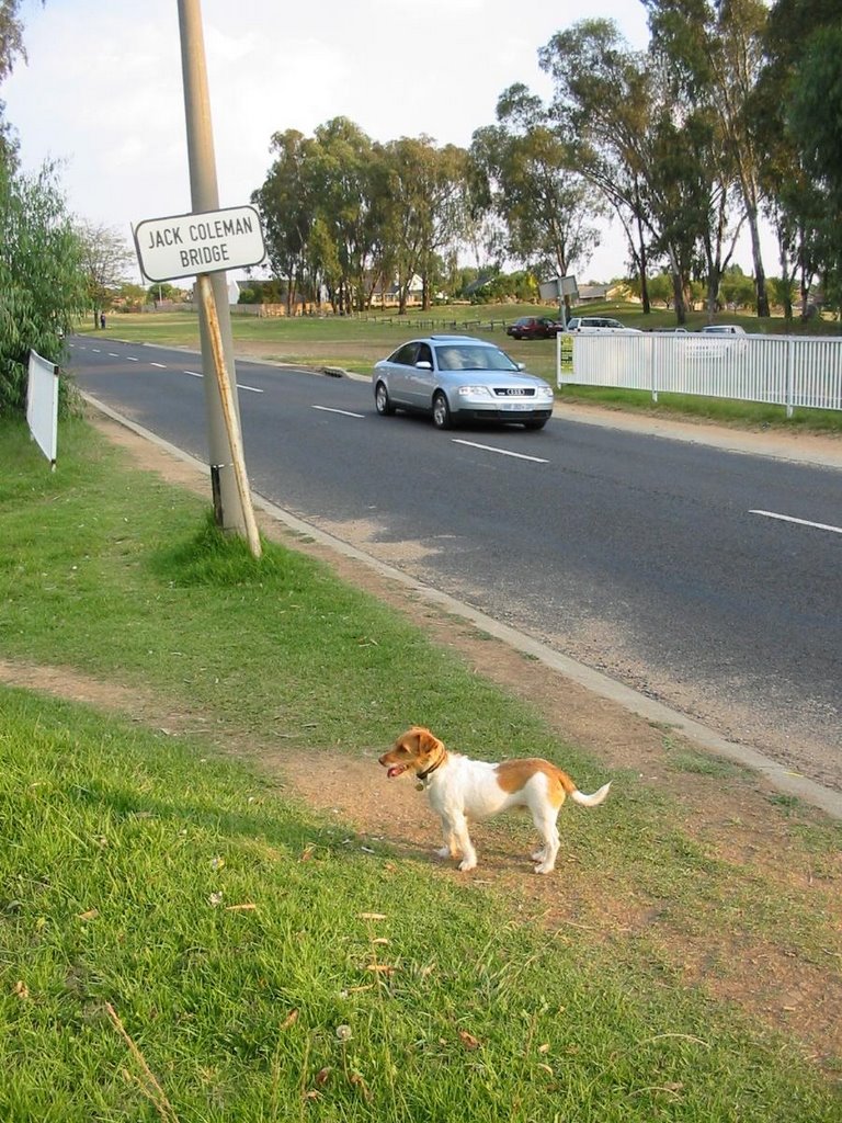 Protea Park, Edenvale, Johannesburg by ttruluck