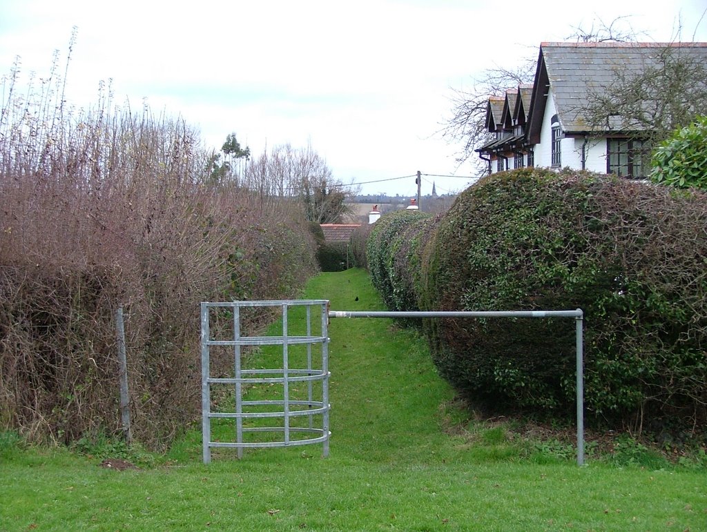 Ashford Hill in December by SBower