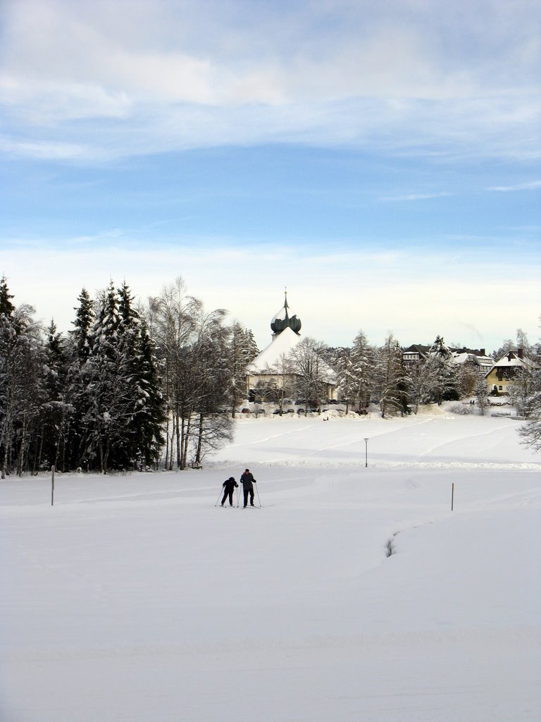 Hinterzarten - Winter 2008 by dertivoli