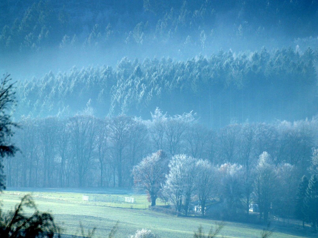 Frost in der Horst by Paulwip