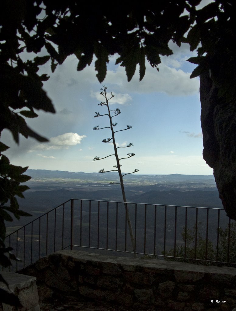 Serralada del prelitoral desde d'Argimon by salvador soler vilav…