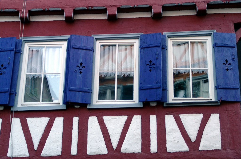 Window and folding blue shutter at a half timbered house by world of pictures by KlausH