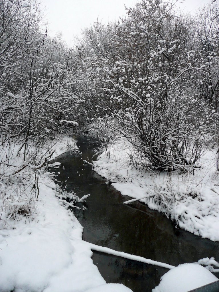 Речка Карлутка в декабре by Борис Бусоргин