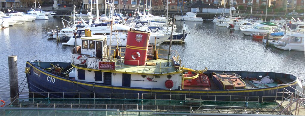 Tug Boat Thomas by david nicholas