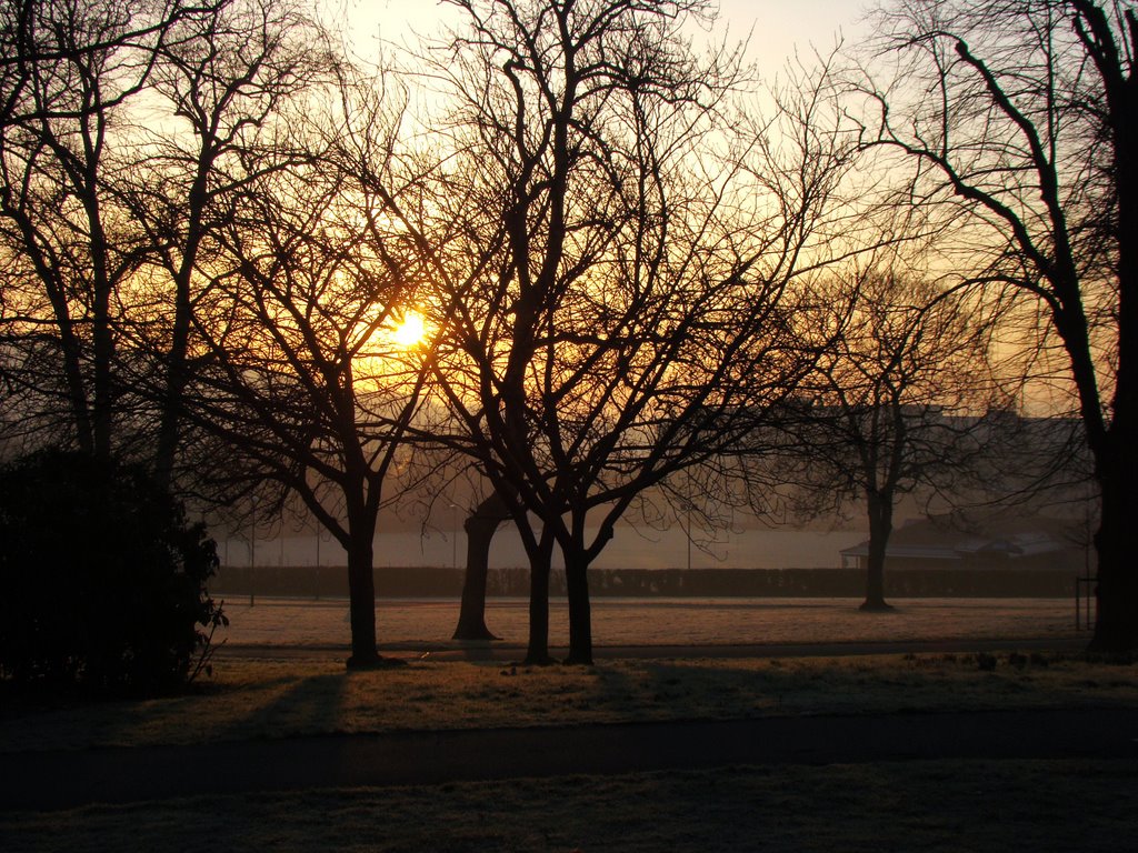 Sunrise through the trees in Hillsborough Park, Sheffield S6 by sixxsix