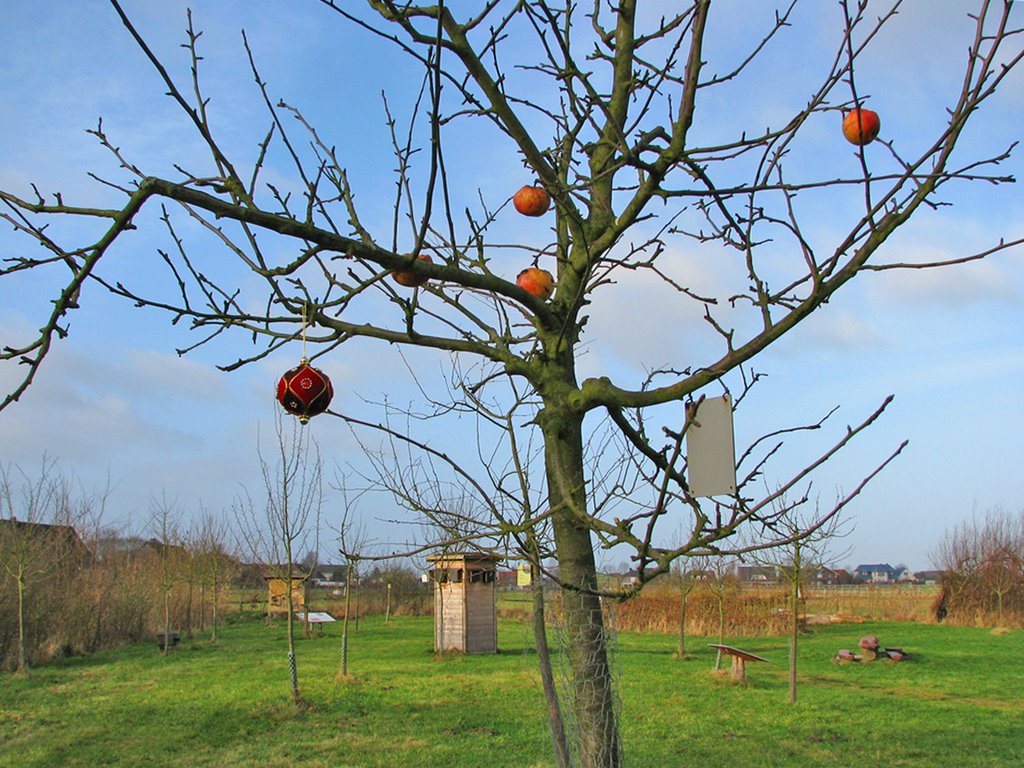 22. Dezember 2008 in den Außenanlagen des Elbmarschenhauses by Juliane Herrmann