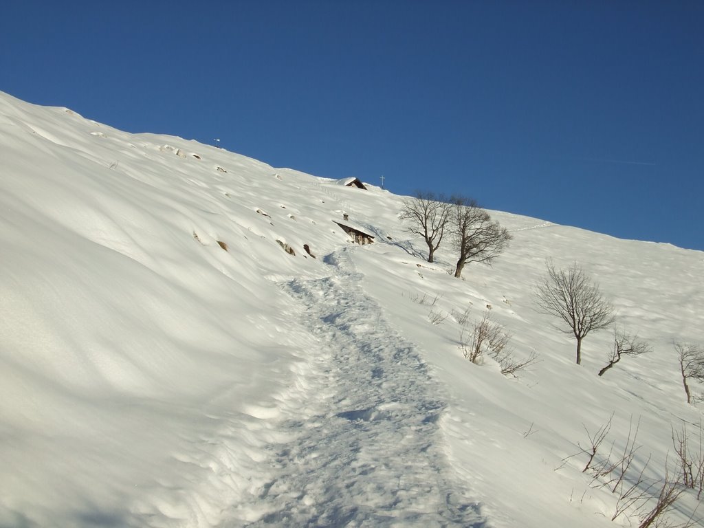 Pizzoccolo sotto la neve by altogarda