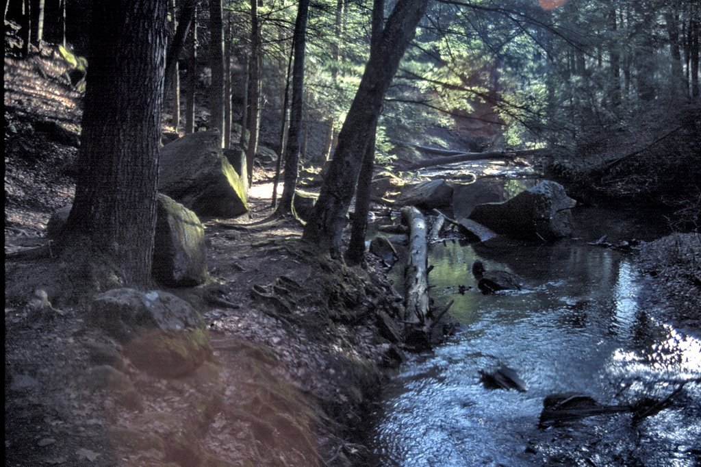 Old Man's Cave, Hocking Co. Ohio by Qwilleran