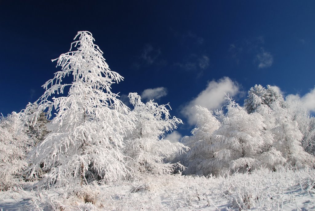 Neige de Savoie by yves floret