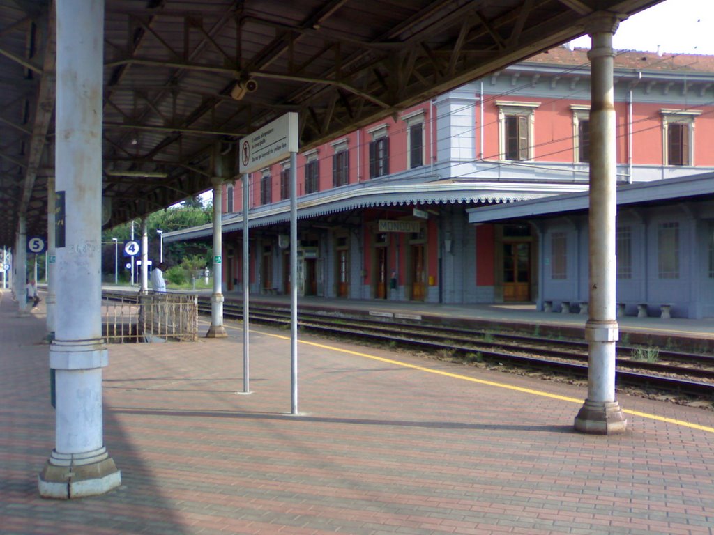 Stazione di Mondovì - Pensilina e Binari in Direzione Savona e Torino by Matteo David