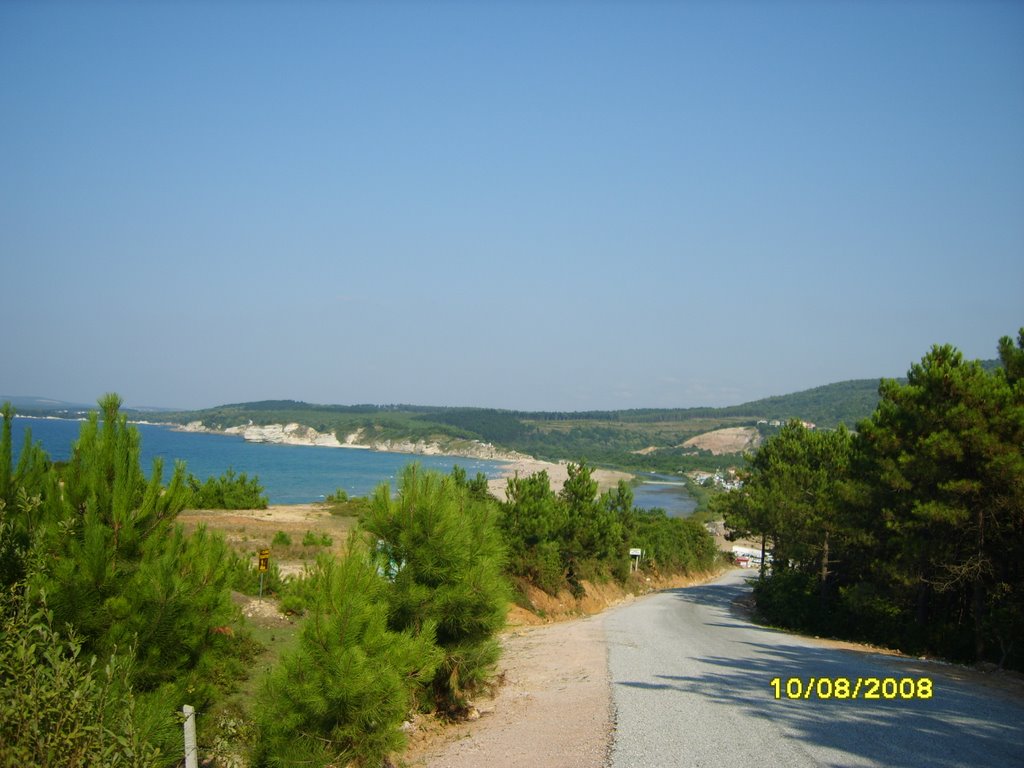 Sarısu (Seyrekten geliş orman yolu) (Bora Efe) by bora efe