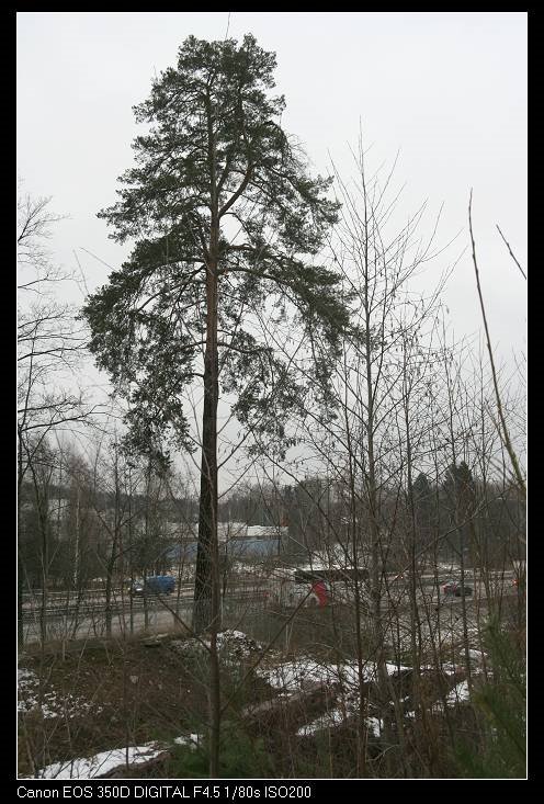 Espoo, Finland by wooden fish