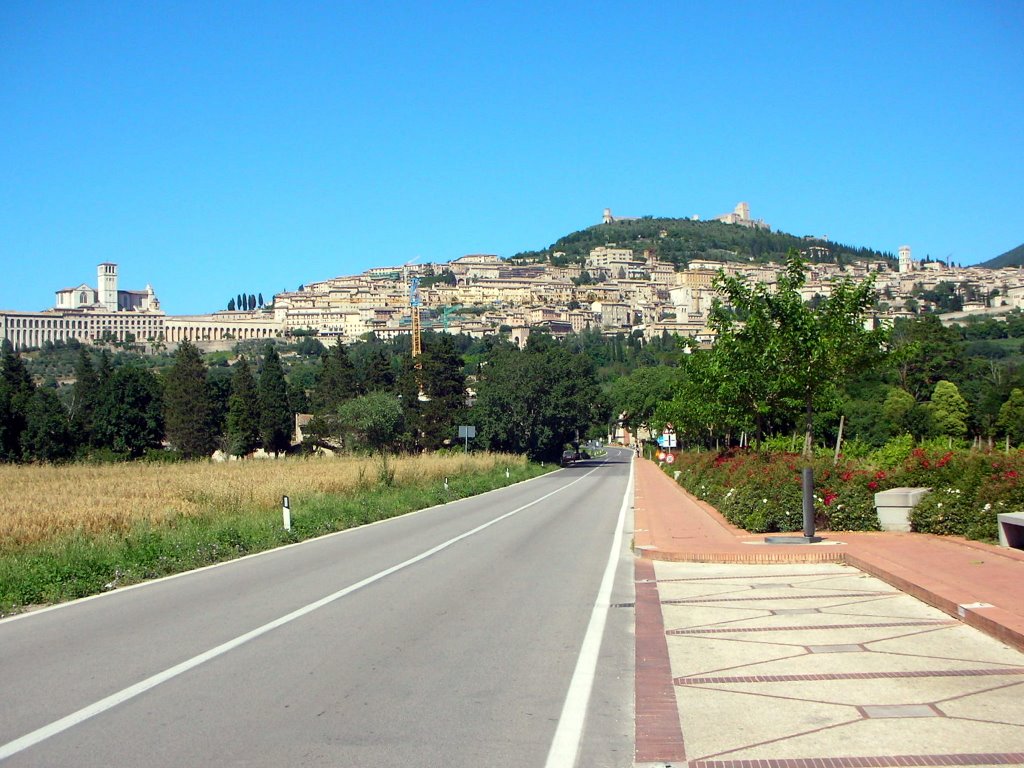 Assisi by Sergio M Araujo