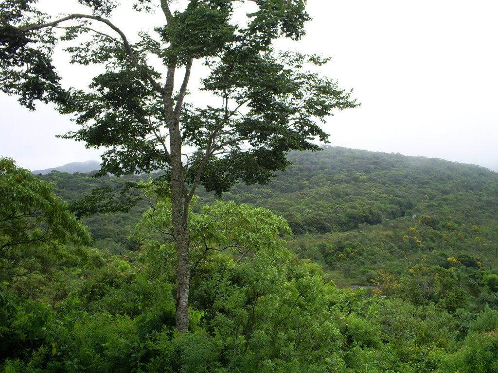 Região da Serra do Caraça - MG by Délio de Lemos