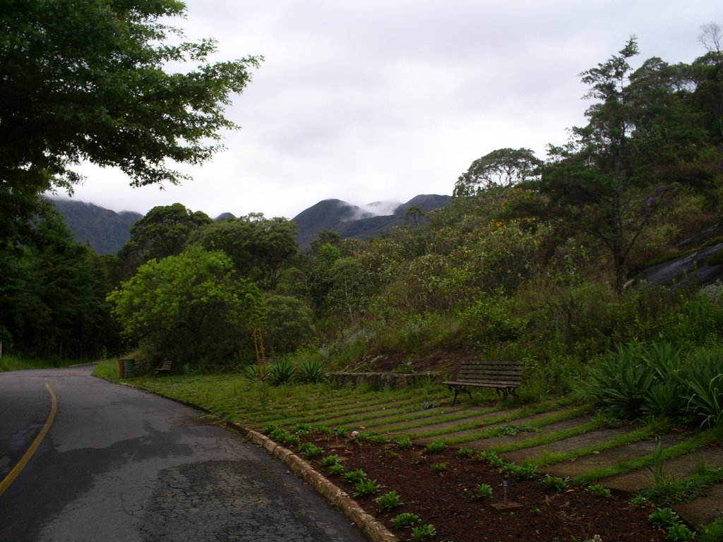 Estrada da Parque do Caraça - MG by Délio de Lemos